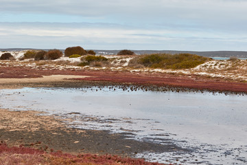 Lagoon of Langebaan, west coast of South Africa