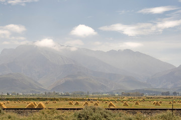 Fototapeta premium The mountains of Drakensberg in South Africa