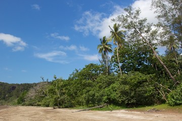 Fototapeta premium The beach of Bako National Park