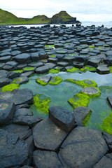 The Giant's Causeway. World Heritage Site. Causeway Coastal Route. Antrim County, Northern Ireland, Europe