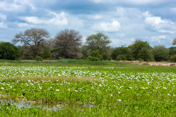 kruger national parks  reserves of south africa