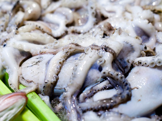 Fresh fish market -  octopus for sale.