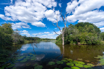 kruger national parks  reserves of south africa