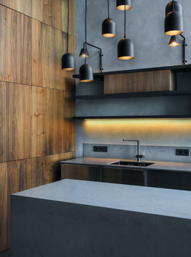 Minimalist contemporary interior kitchen