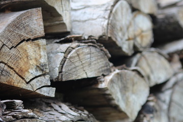 Un tas de bois pour l'hiver