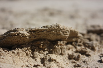 Fototapeta na wymiar sand close up