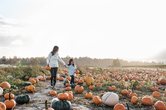 Asian Mother and Daughter Pumpkin Patch During Fall Season