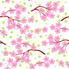Sakura on white background seamless pattern. Vector Illustration.