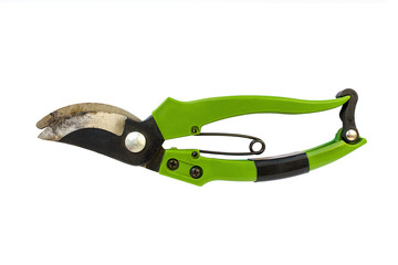 green garden pruner, isolated white background
