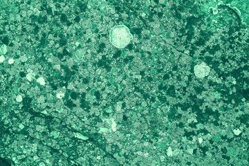 Vintage green background. Rough painted wall of emerald color. Imperfect plane of virid colored. Uneven old decorative toned backdrop of green tint. Texture of emerald hue. Ornamental stony surface.