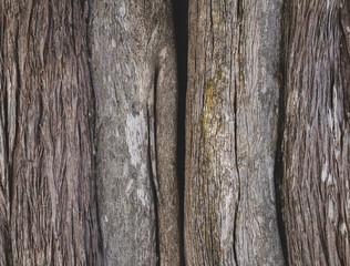 Brown bark of old tree.Closeup tree bark background.