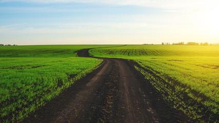 Sunny spring landscape with ground country road passing through the green farm fields at sunset.