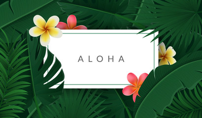 Tropical nature frame with palm leaf, exotic plumeria flower and white text frame. Vector illustration for exotic holiday, tropical design banner or other summer party invitation