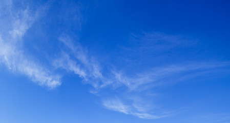 Sky and cloud panorama
