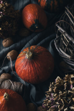 Hokkaido pumpkins on an autumnal background
