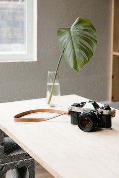 vintage camera and vase with leaf in modern house