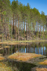 Spring, nature, spring forest, fields, lakes and rivers.