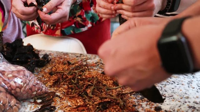 Side View close-up. Women cleaning and removing seeds from chile. Women making Mole in Puebla Mexico. North America.  Cooking Traditional recipe