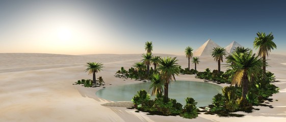 Oasis in the desert of sand, palm trees and a pond in the sands,