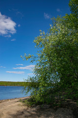 Spring, nature, spring forest, fields, lakes and rivers.