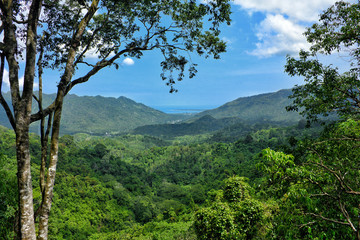 Naklejka premium Oceanview at Rainforest in Senggigi, Lombok