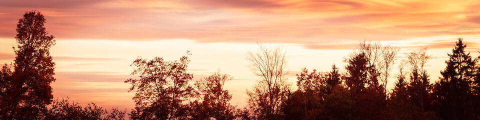Fototapeta na wymiar Panorama, Sonnenaufgang oder Sonnenuntergang hinter einem Wald