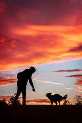 Hund und Mann als Silhouette in der Natur, Sonnenuntergang