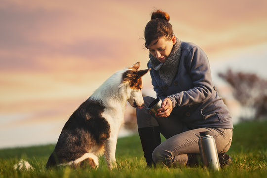 Hund trinkt Wasser aus einem Becher, Pause auf einer Tour oder Spaziergang