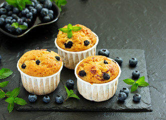 Oat muffins with blueberries on a dark background.