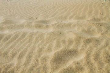 Fototapeta na wymiar fondo de arena en el desierto
