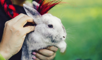 Pretty Asian Girl Hugging Bunny on Summer Nature