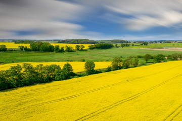 flowering of rapeseed in the Warmian-Masurian Voivodeship in Poland