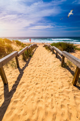 View of the Monte Clerigo beach with flying seagulls on the western coastline of Portugal, Algarve. Stairs to beach Praia Monte Clerigo near Aljezur, Costa Vicentina, Portugal, Europe.