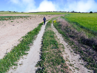Corriendo por los campos de Pinto. Madrid. España. Europa.