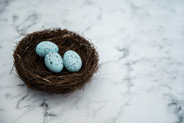 Blue Bird Robin Eggs on a brown twig nest laying ona  marble table