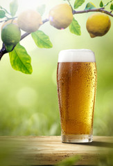 Fresh cold beer on wooden table. Branch of fresh lemons fruits and summer garden background 