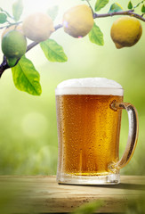 Fresh cold beer on wooden table. Branch of fresh lemons fruits and summer garden background 