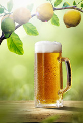 Fresh cold beer on wooden table. Branch of fresh lemons fruits and summer garden background 
