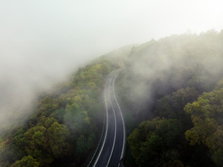 Aerial view of a mountain road covered in fog within a lush green forrest as spotted from above with a drone (Germany, Europe)