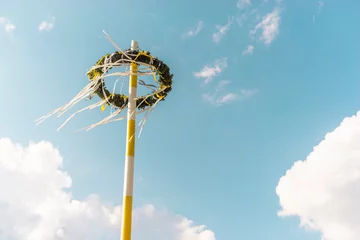 Maibaum © mazolafoto
