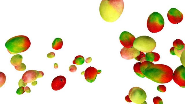 Mango flying in slow motion, against white