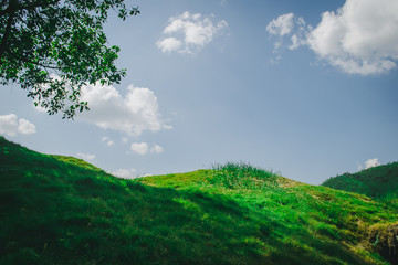 green grass field with mountain on blue sky background.
