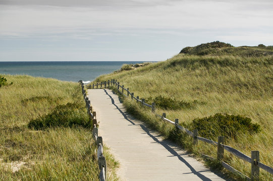 Boardwalk to Beach on Cape Cod