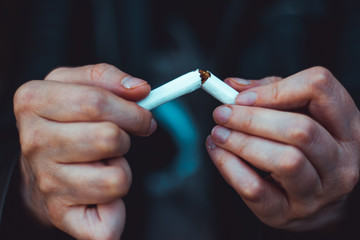Closeup of a young person’s hands breaking a white cigarette in half – Toxic and dangerous habit – Concept image for no smoking day and quitting addiction