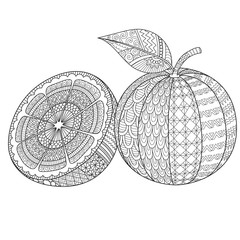 Line art design of sliced of orange and whole orange editable stroke width for printing on product, engraving, adult coloring book, coloring page and so on. Vector illustration