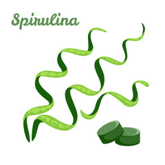 Spirulina isolated on white background. Seaweed tablets. Vector illustration in cartoon flat style.