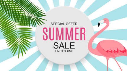 Fototapeta premium Summer Sale concept Background. Vector Illustration