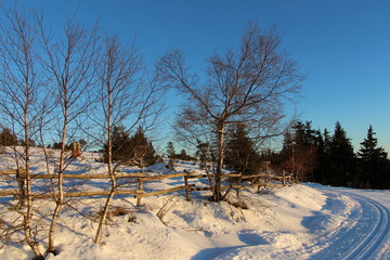 Winter Sonnemuntergang