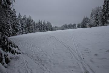 Obraz premium Winterlandschaft