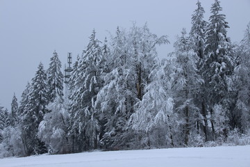 Winterlandschaft